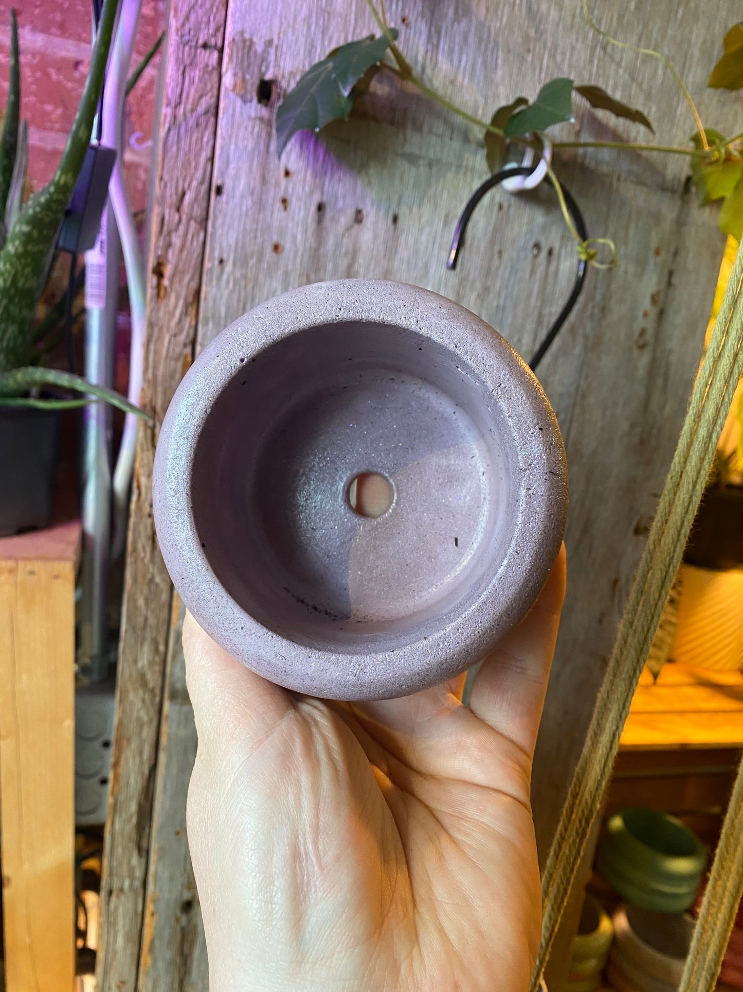 3.5" Concrete Bubble Purple