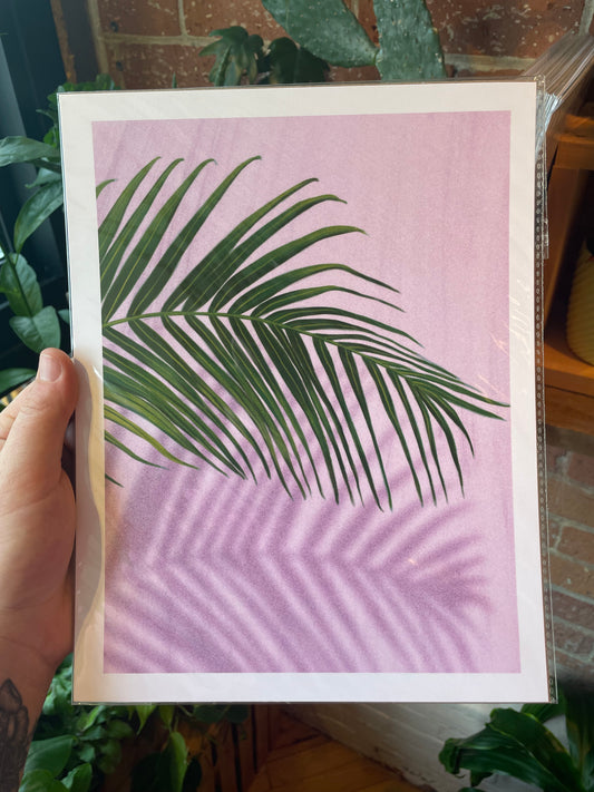 Palm Shadows Art Print 8.5"x11"