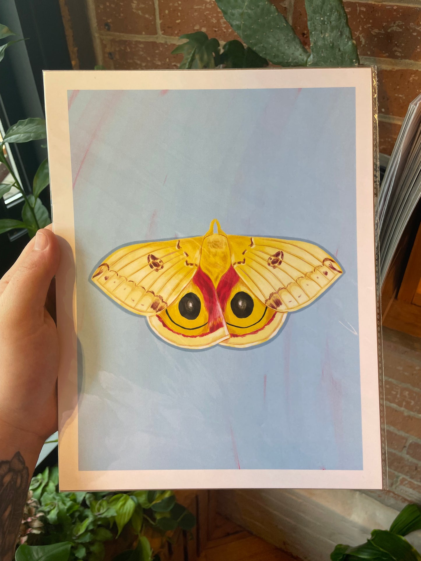 Peacock Moth Art Print 8.5"x11"