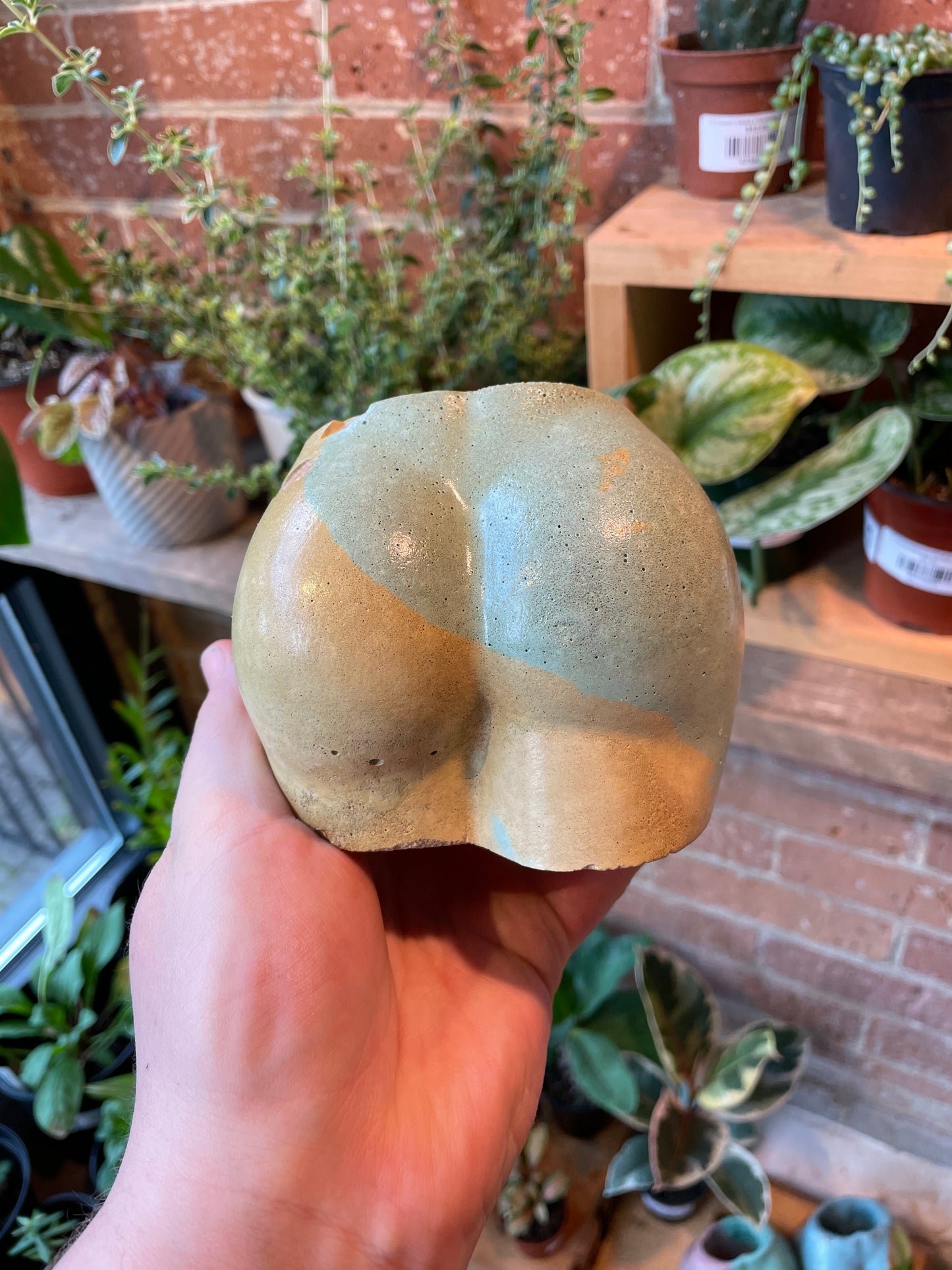 2.5" Concrete Butt Pot Yellow/Green