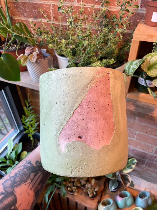 6" Concrete Pot Purple/Green