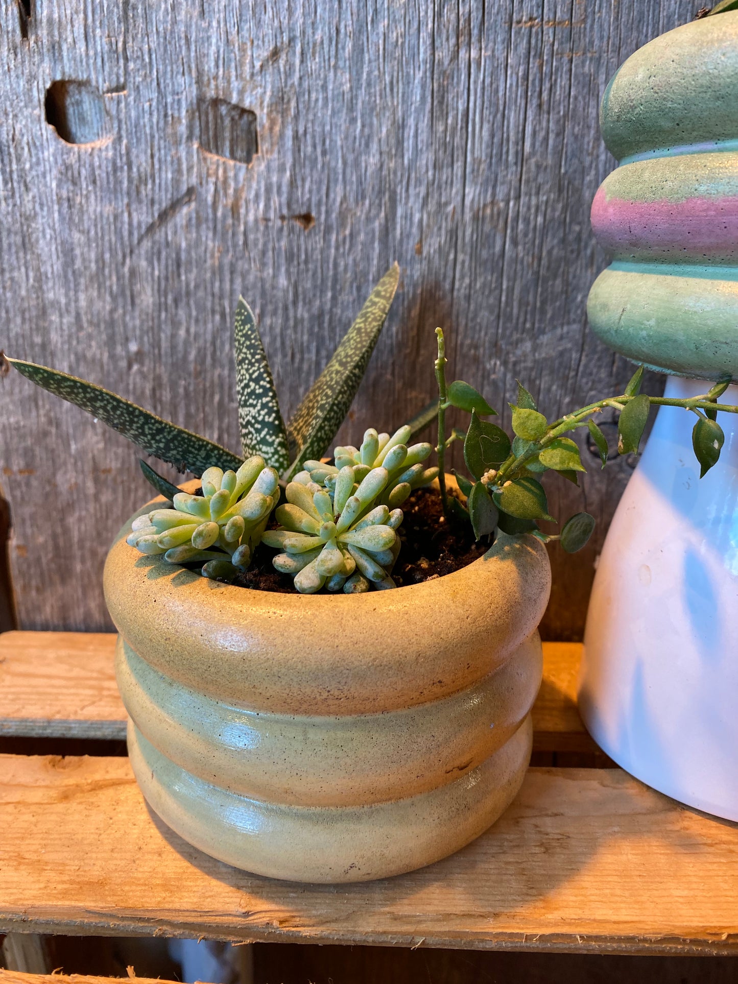 Mini Grab n Go Planter 3.5” Yellow