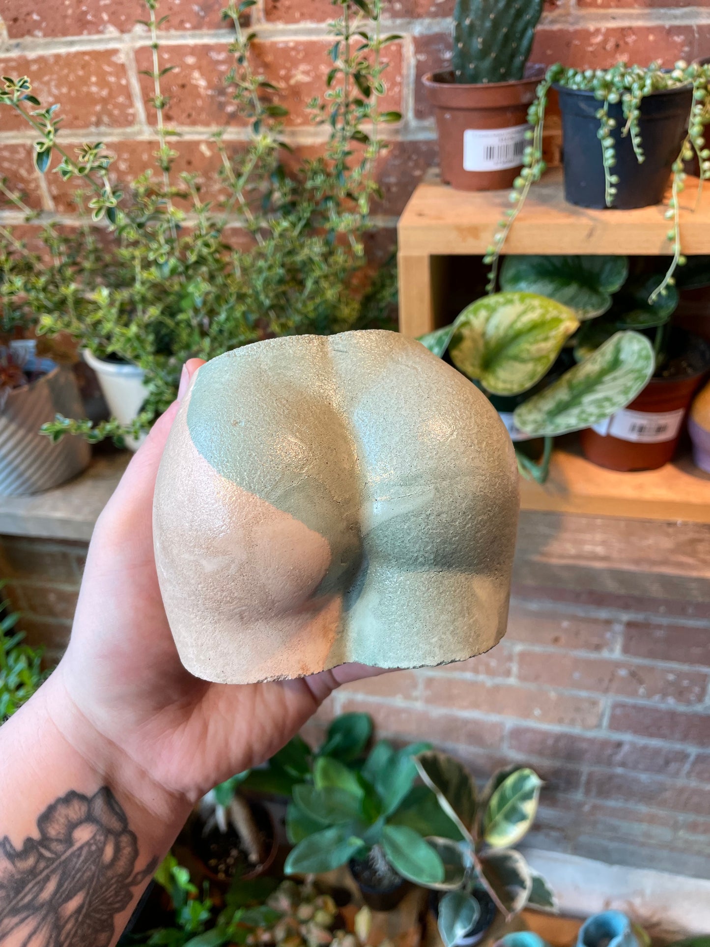 2.5" Concrete Butt Pot Peach/Green