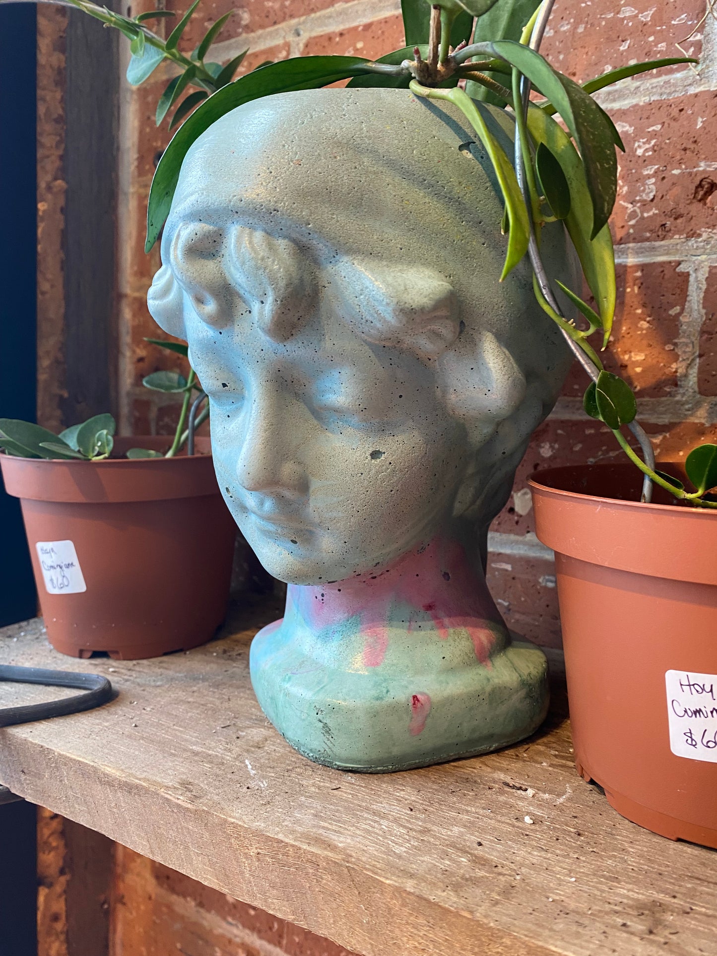 “Bust” planter