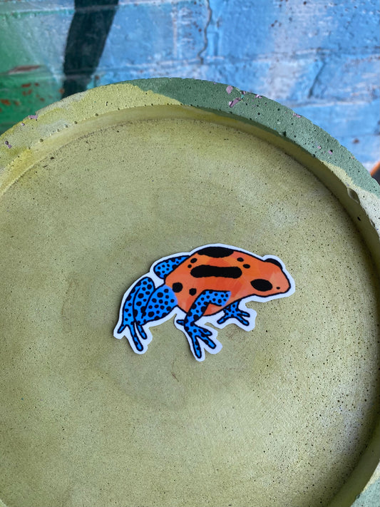 Poison dart frog sticker