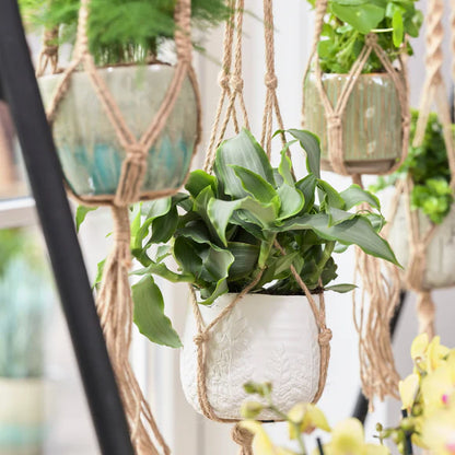 Natural Macrame Pot Hanger