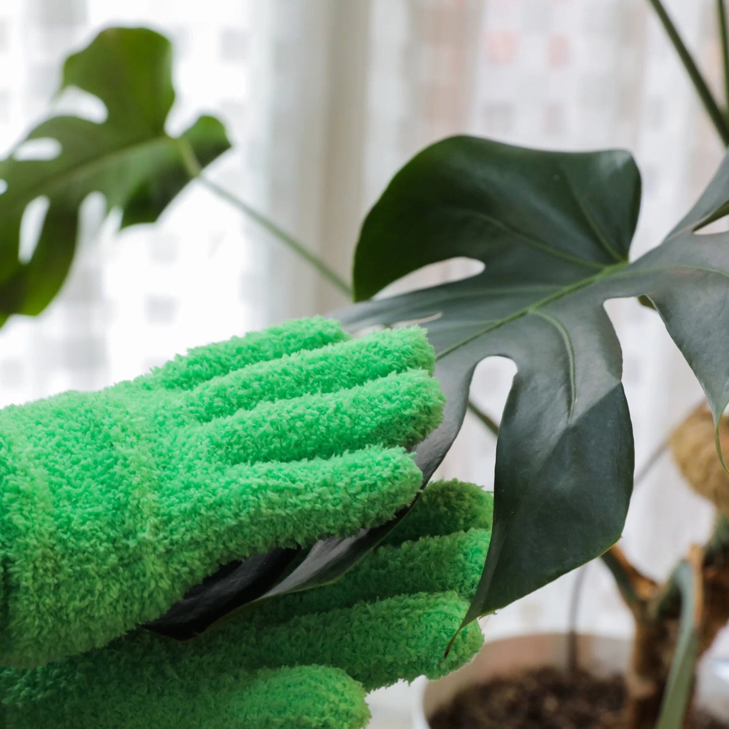 Plant Goals Plant Shop Leaf Shining Microfiber Gloves | Blue