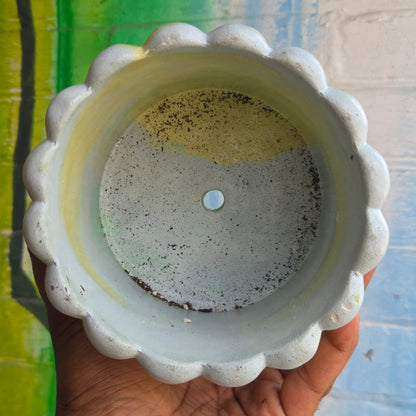 6” ‘Lady fingers' Concrete Pot Yellow/Blue/Teal/White