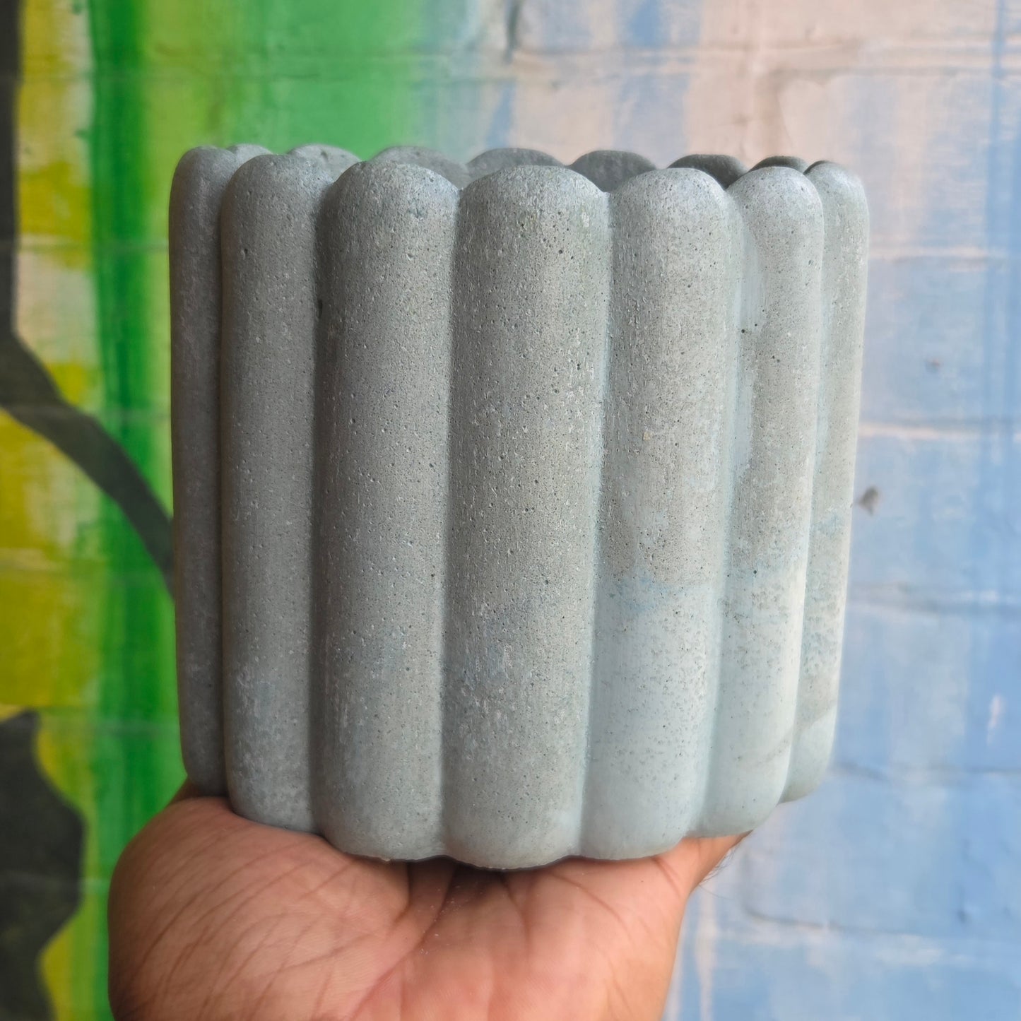 6” ‘Lady fingers' Concrete Pot Light Blue