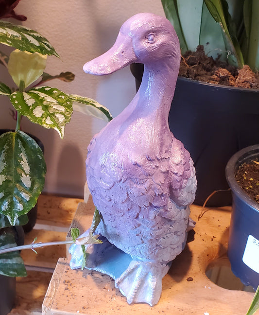 Concrete Goose - Purple/Blue