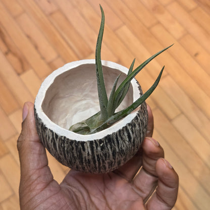 Sculpted Paper Vase - Scratched Black w/ White interior