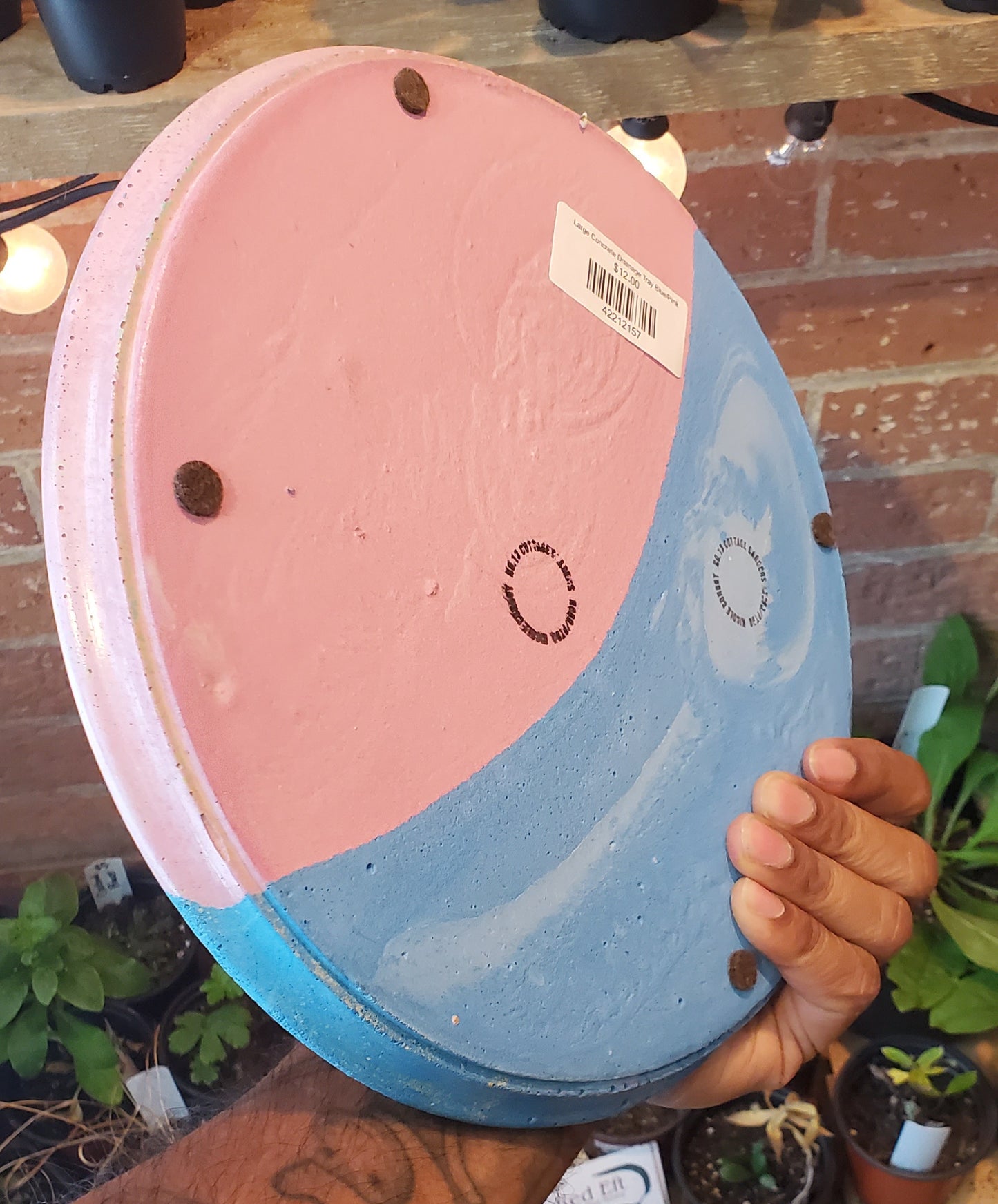 Large Concrete Drainage Tray Blue/Pink