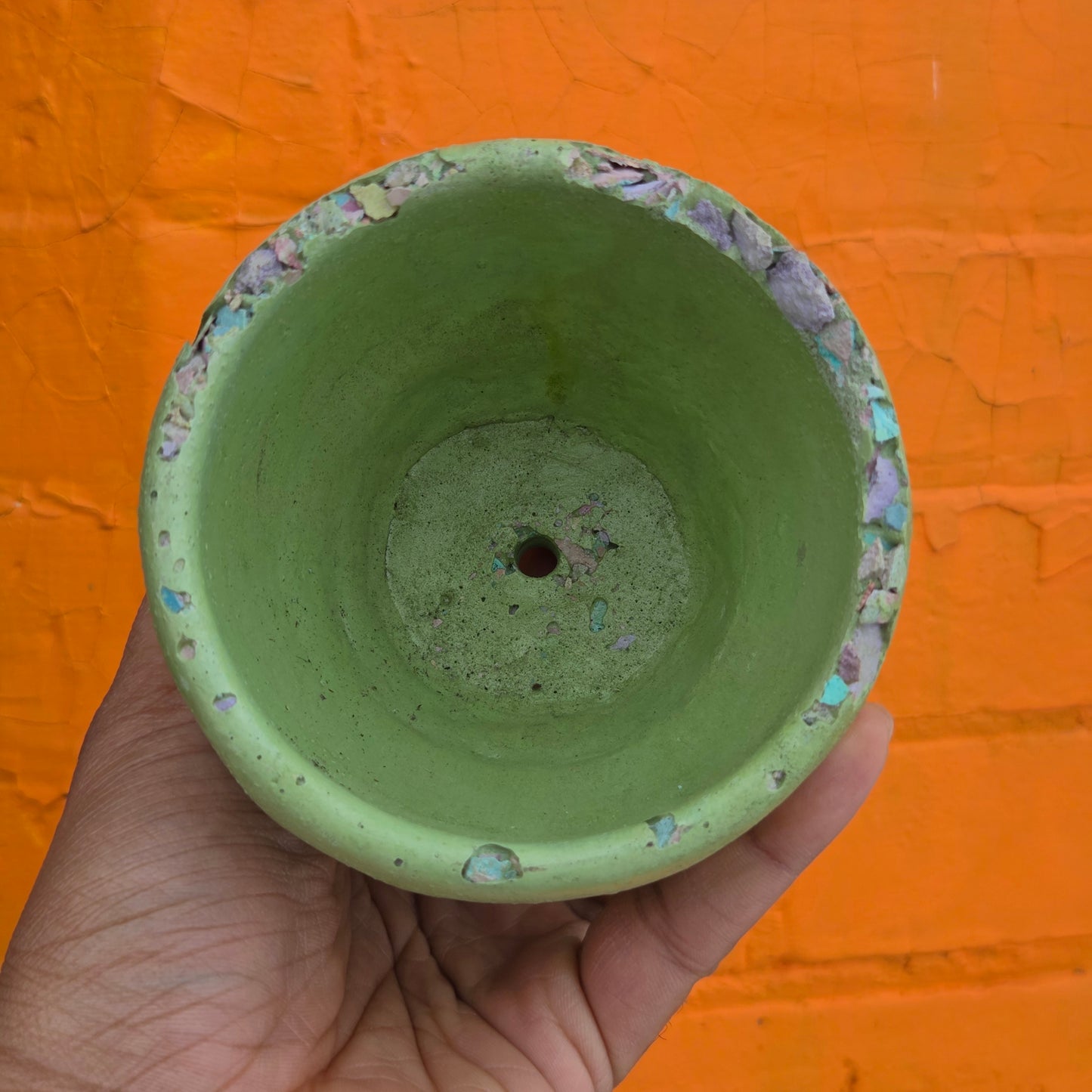3.5" Concrete Tulip Pot Avocado/Confetti