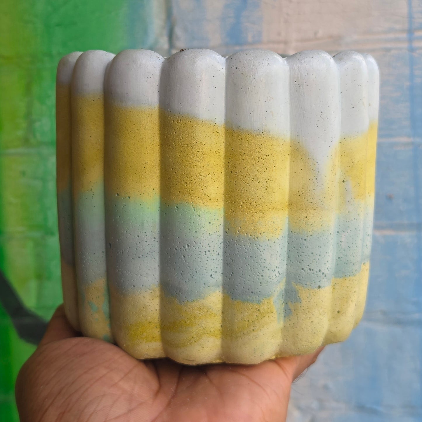 6” ‘Lady fingers' Concrete Pot Yellow/Blue/Teal/White