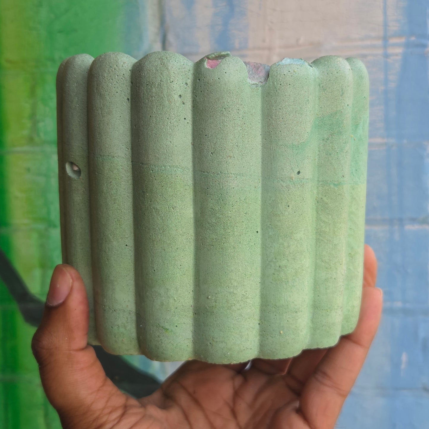 6” ‘Lady fingers' Concrete Pot Light Green w/ cracked rim