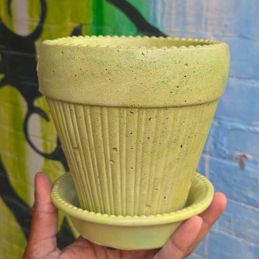 5" Concrete Tapered Pot w/Tray Mixed Yellow/Green