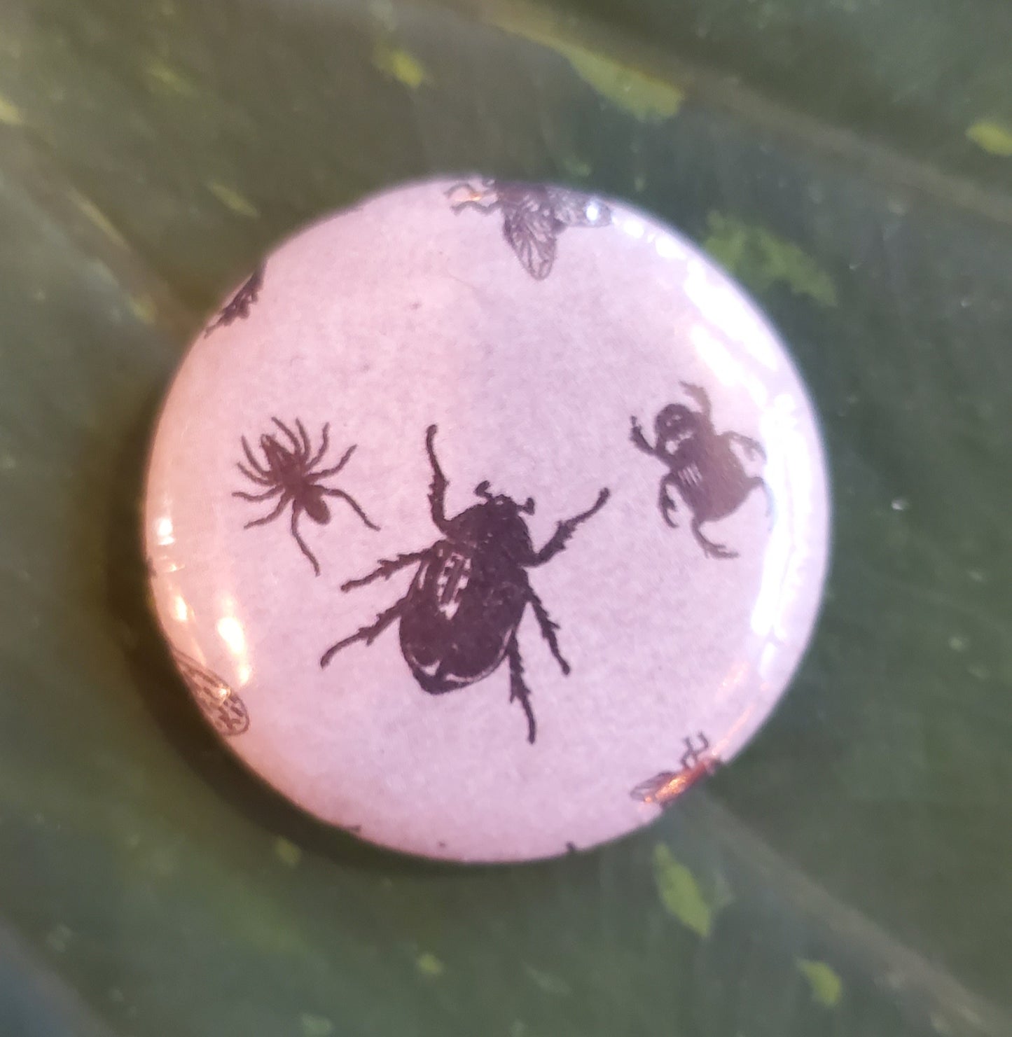 Insects Button