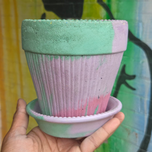 5" Concrete Tapered Pot w/Tray Purple/Green