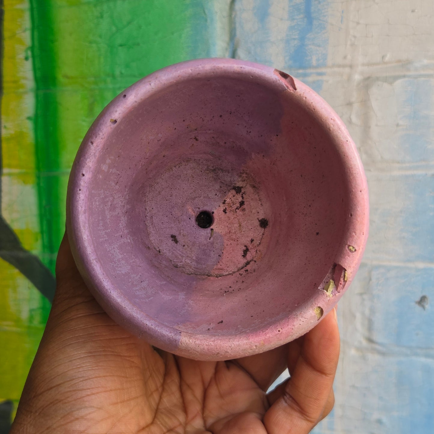 3.5” Concrete Tulip Pot Pink/Purple