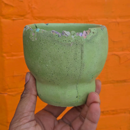 3.5" Concrete Tulip Pot Avocado/Confetti
