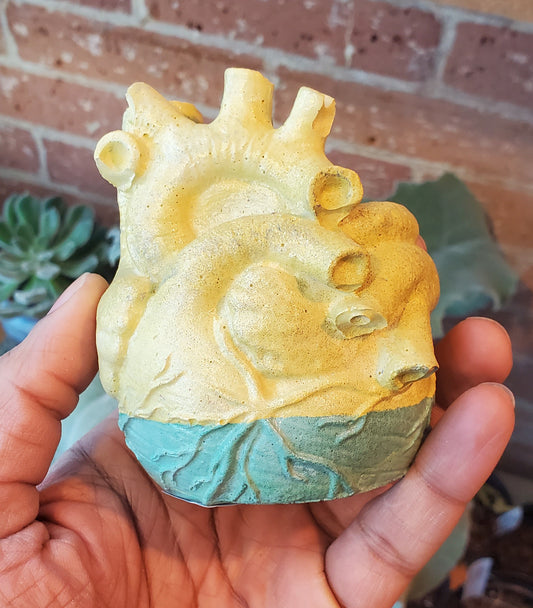 2.5" Concrete Heart Yellow/Teal