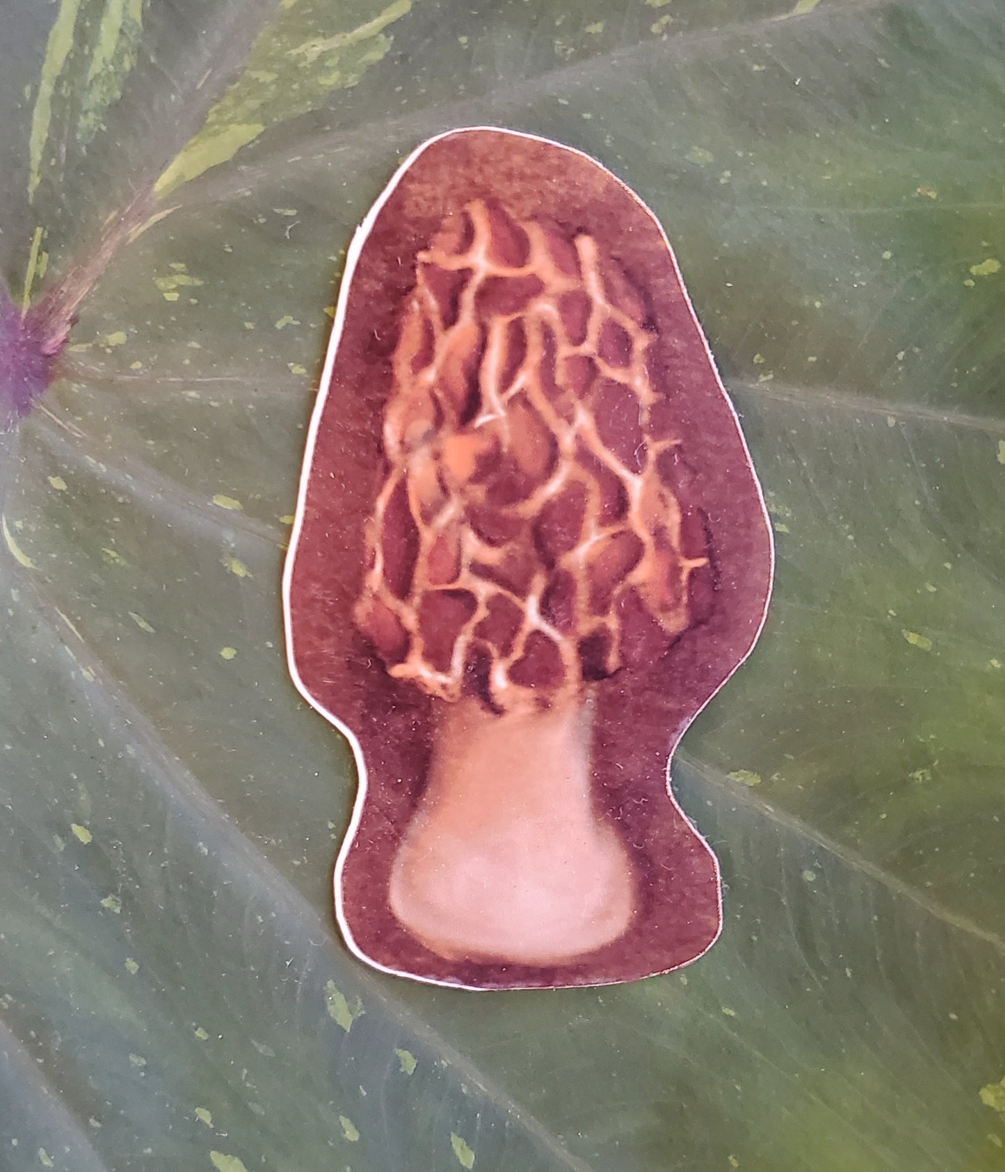 Morel Sticker