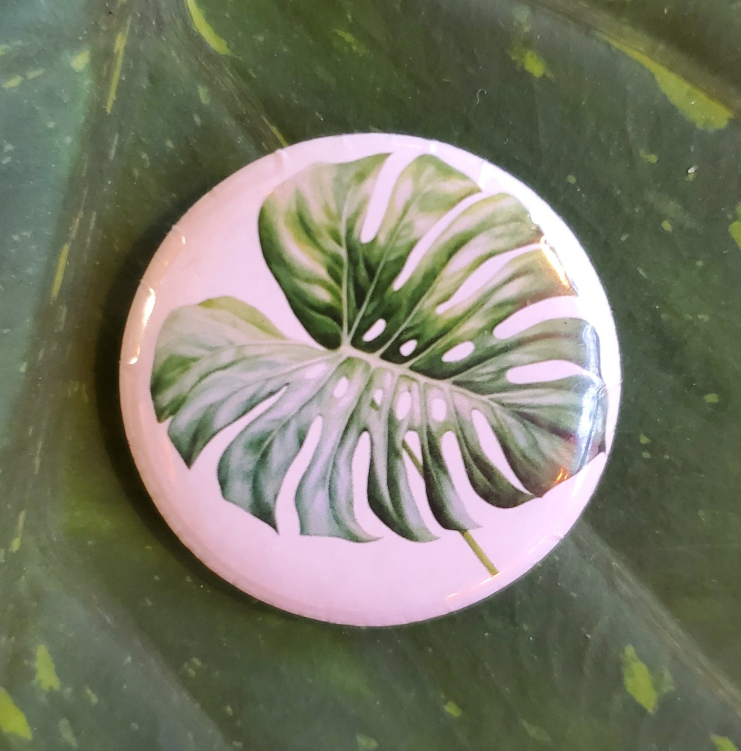 Monstera Leaf Button