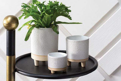 Plant Goals Plant Shop 2.5" Delray Footed Potcover