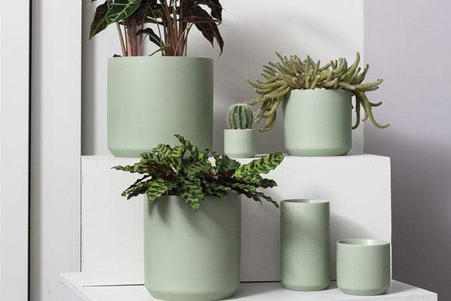 Plant Goals Plant Shop 3.25" x 2.75" Kendall Potcover | Green