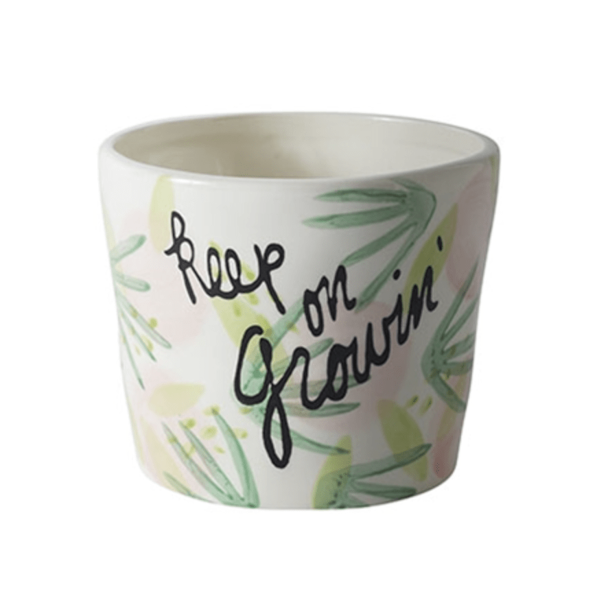 Plant Goals Plant Shop 4.5" Keep On Growing Potcover