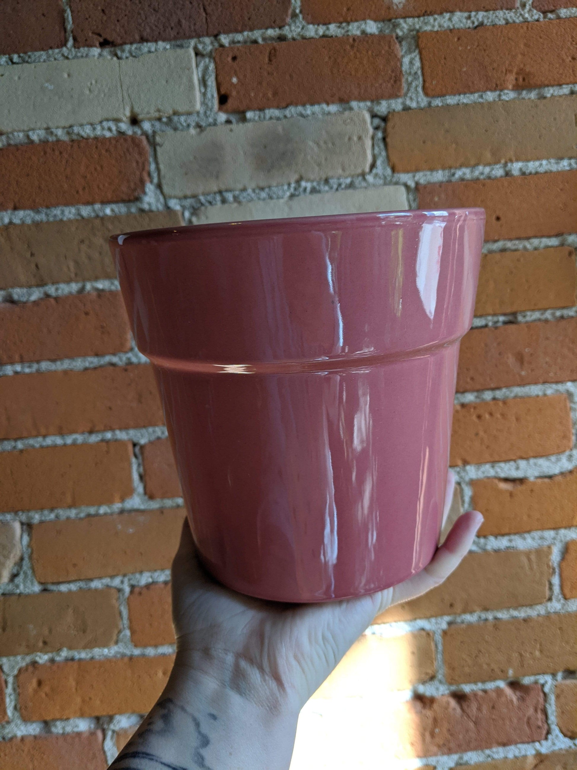 Plant Goals Plant Shop 6" Designer Ceramic Potcover | Raspberry