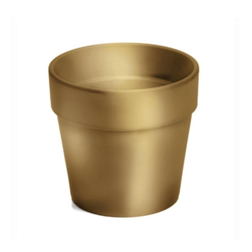 Plant Goals Plant Shop 6" Flower Pot Potcover | Gold