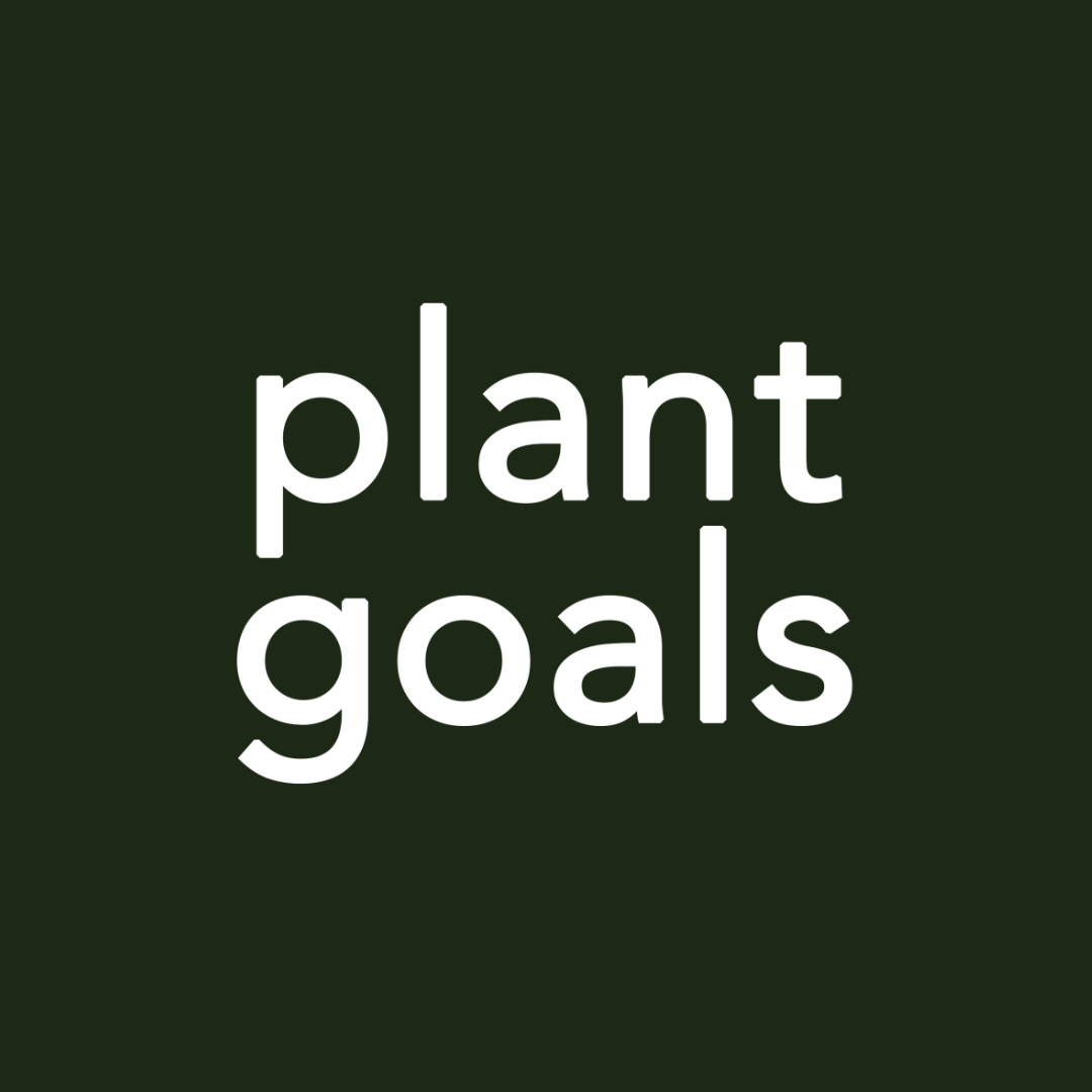 Plant Goals Plant Shop 7.5" Sansevieria Rhea Fantail