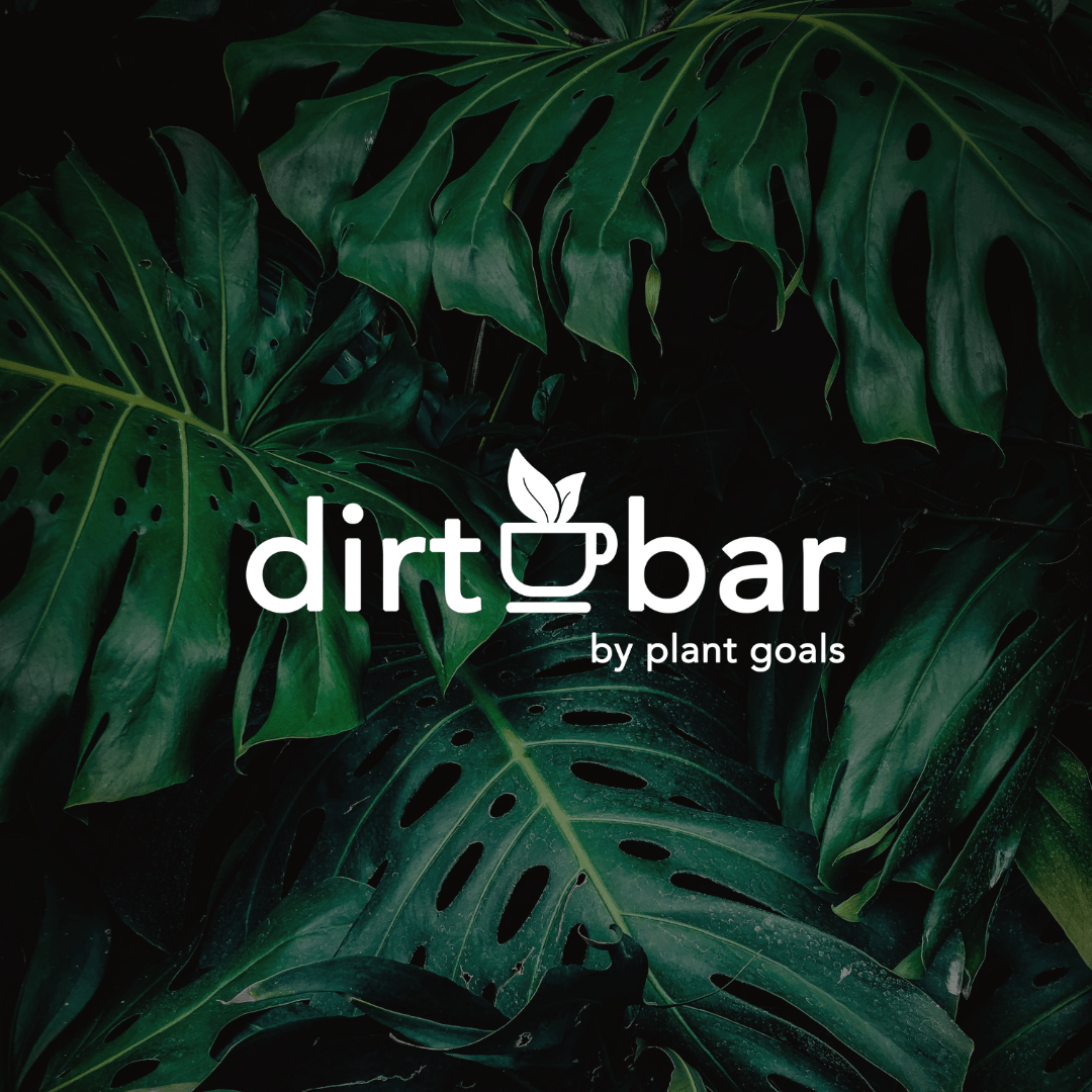 Plant Goals Plant Shop Clay Pebbles | 8L