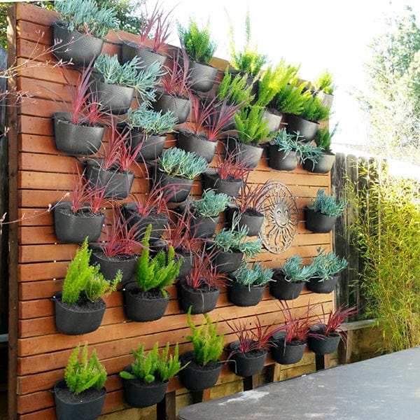 Plant Goals Plant Shop Eco Charcoal Wall Planter
