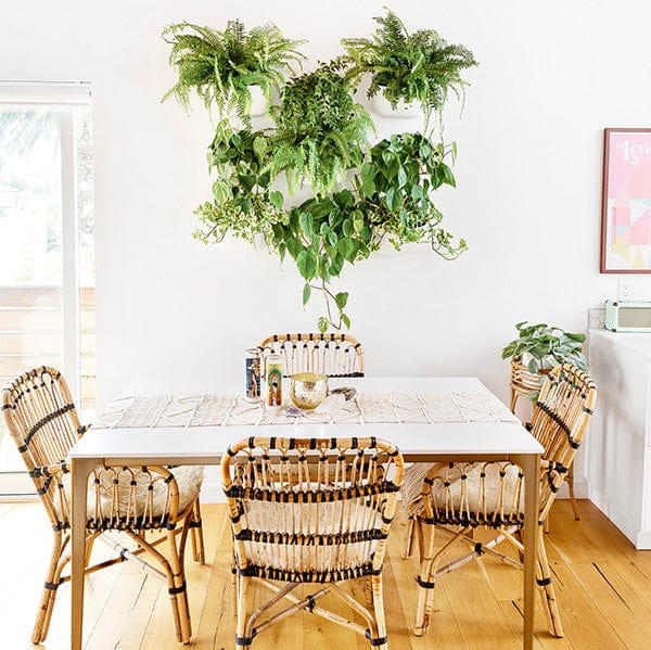 Eco White Wall Planter – Plant Goals