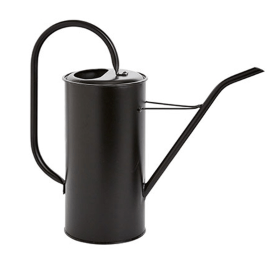 Plant Goals Plant Shop Fletch Watering Can | Tall