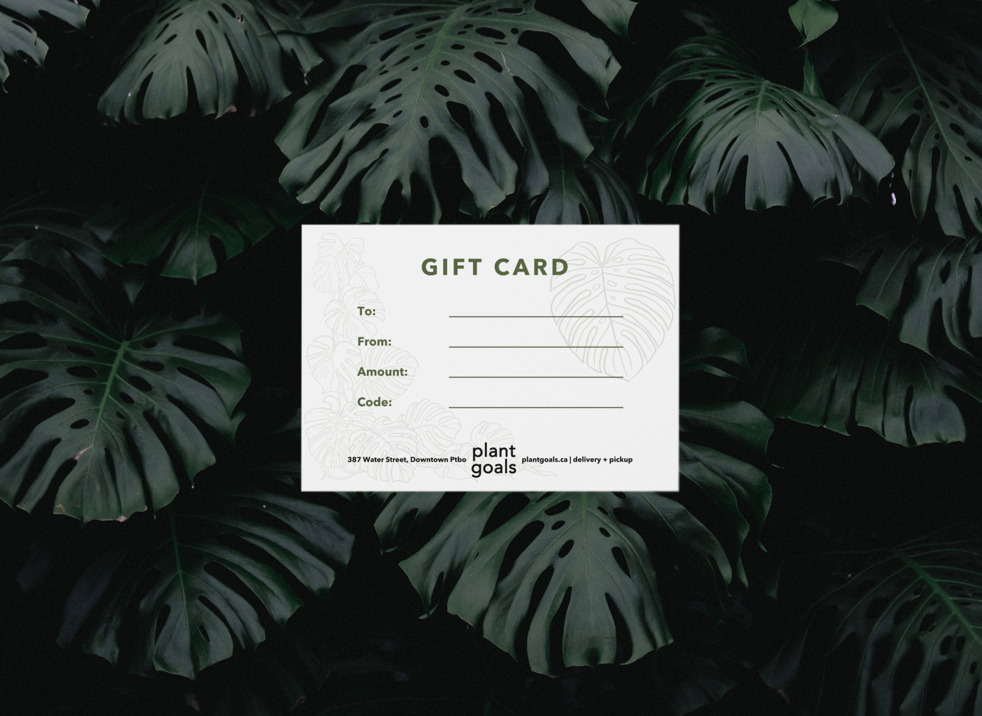 Plant Goals Plant Shop Gift Cards | Corporate Gifting