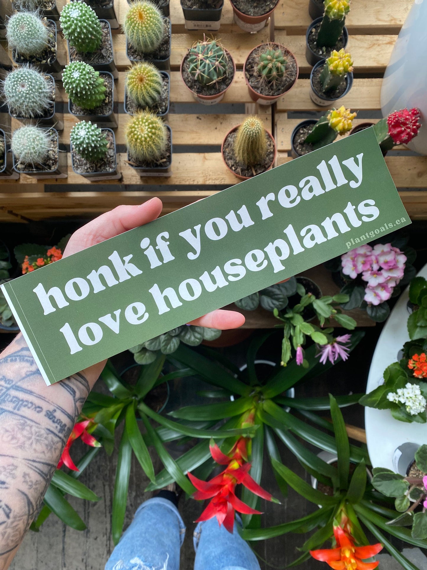 Plant Goals Plant Shop Honk If You Really Love Houseplants Bumper Sticker