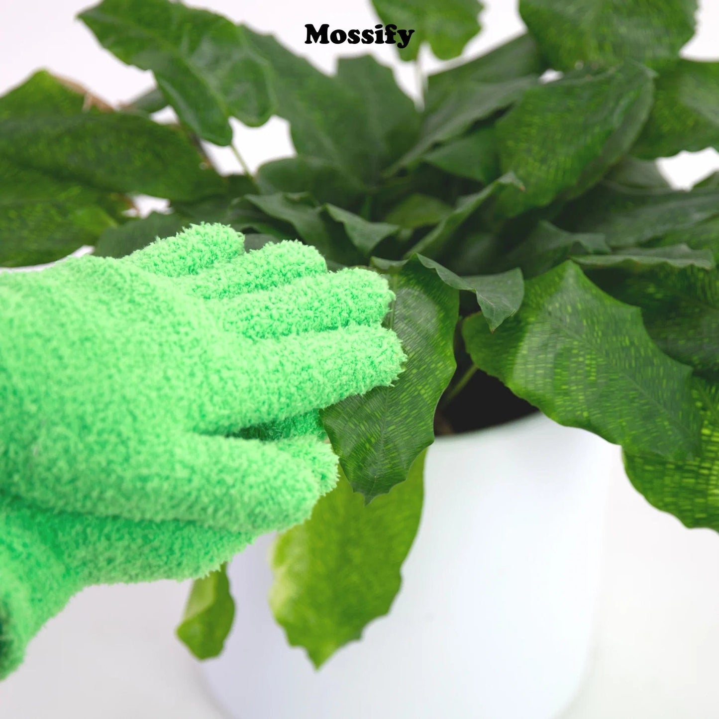 Plant Goals Plant Shop Leaf Shining Microfiber Gloves