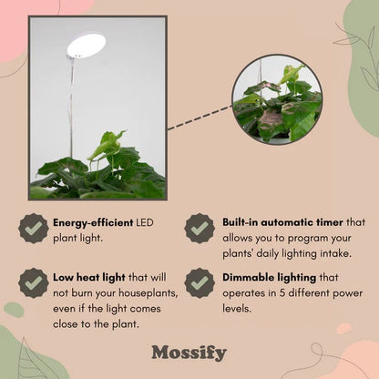 Plant Goals Plant Shop Mossify Adjustable LED Plant Light
