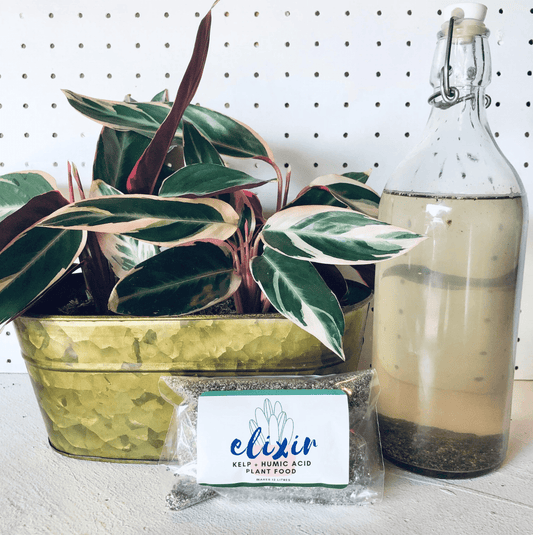 Plant Goals Plant Shop Plant Elixir: Kelp + Humic Acid Plant Food
