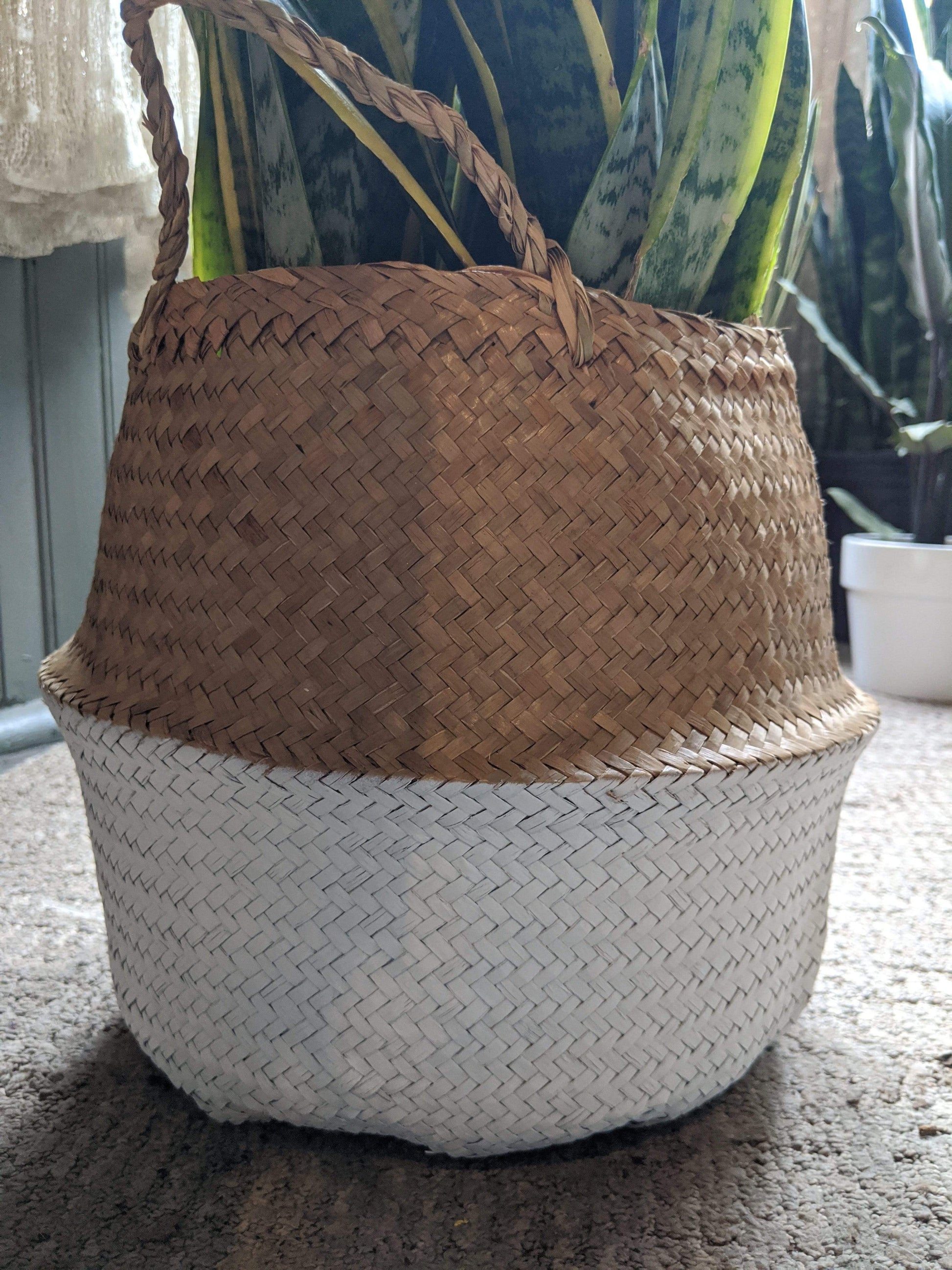 Plant Goals Plant Shop Small Yaya Basket | White