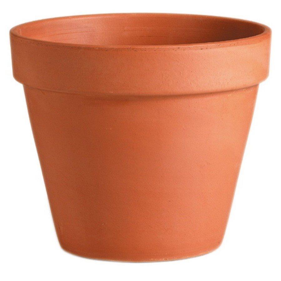 Plant Goals Plant Shop Standard Clay Pot