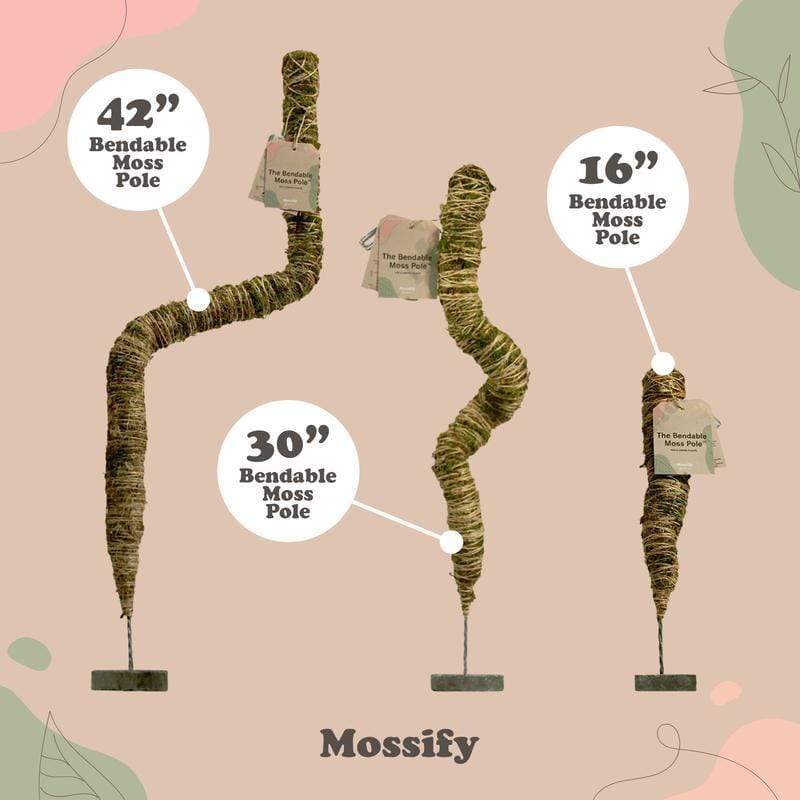 Plant Goals Plant Shop The Bendable Moss Pole™